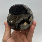 Large Septarian Sphere